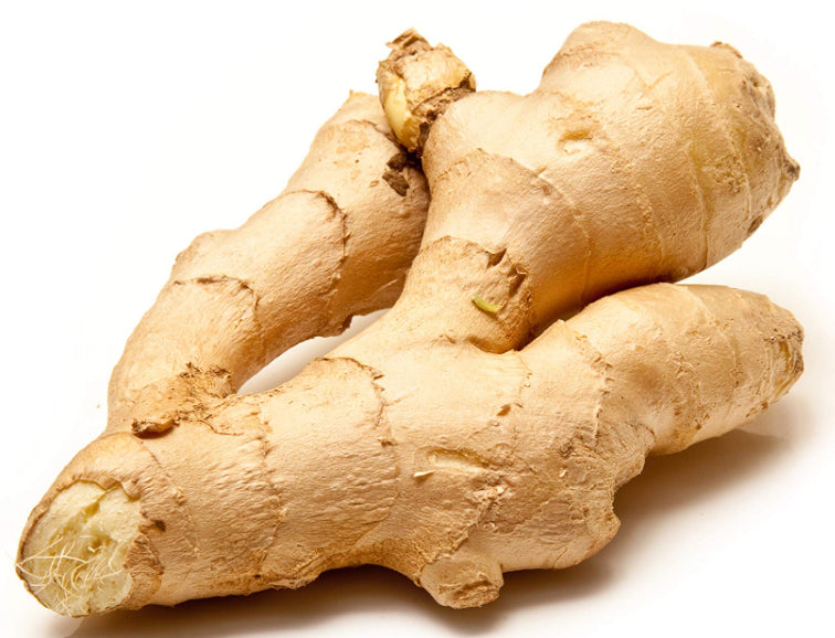Nail fungus treatment